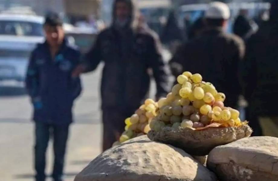 Древний способ хранения продуктов, благодаря которому они остаются свежими полгода