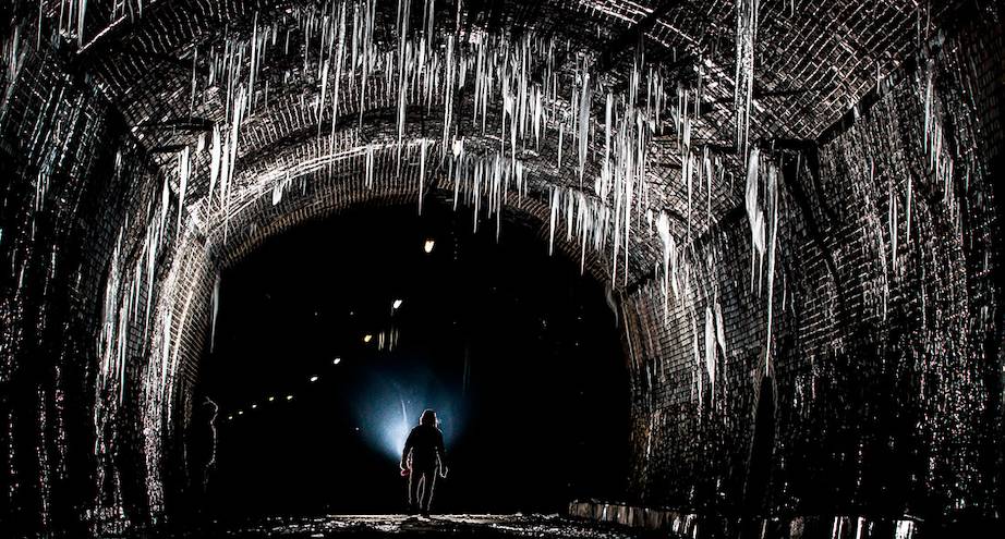 Фото дня: тоннель в нацпарке Англии
