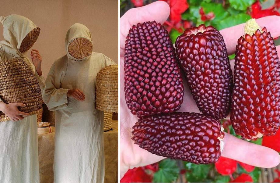 14 фото, которые доказывают, что каждый день можно чему-то удивляться
