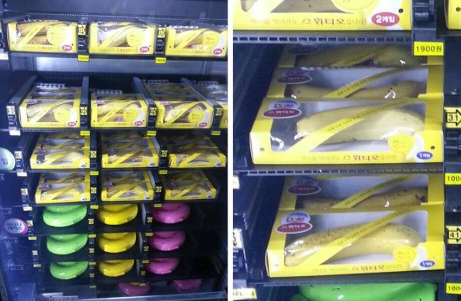 Клюквенное болото и яйца без скорлупы: необычные продукты в магазинах за границей