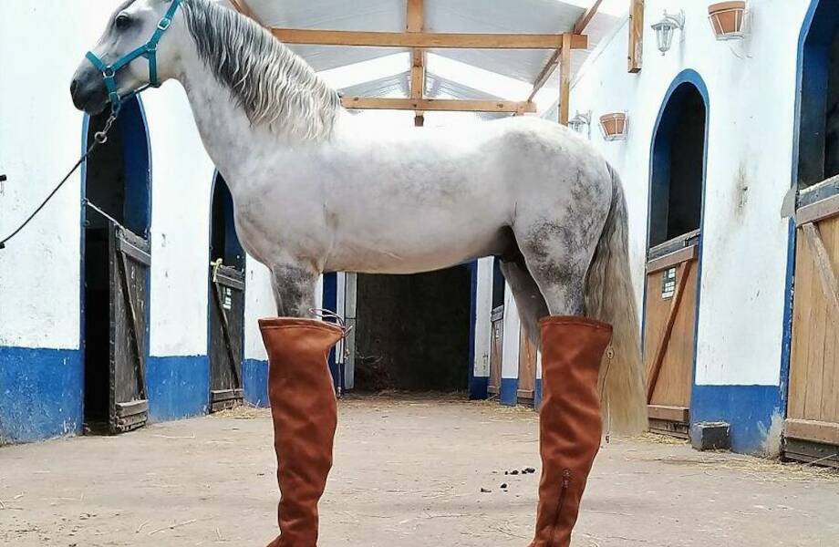 18 снимков португальского фотографа, которые доказывают, что ракурс решает все