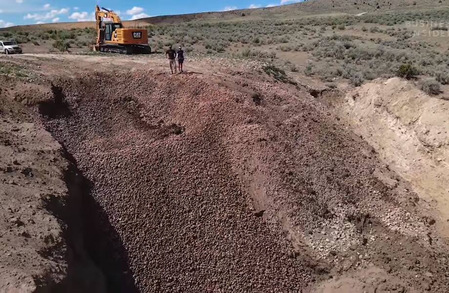 Видео: Почему американские фермеры выбрасывают тонны картофеля в пандемию