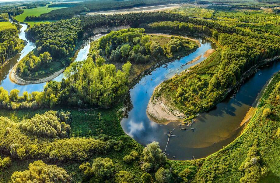 Видео: Почему в реках вода пресная, если во всех океанах она соленая
