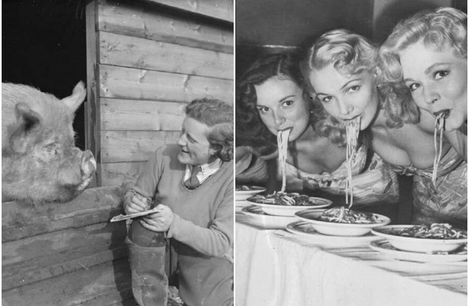 Спагетти, цыплята и собака в бигуди: 15 винтажных снимков, которые вызывают улыбку