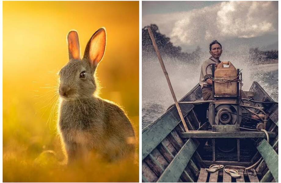 17 лучших фотографий, которые победили на конкурсе National Geographic Traveller 2021