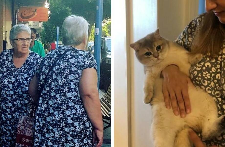 13 нереальных случаев, когда происходящее явно разоблачало тот факт, что мир — матрица