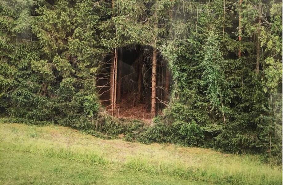 Дыра или портал: как одна фотография за сутки стала мировым событием