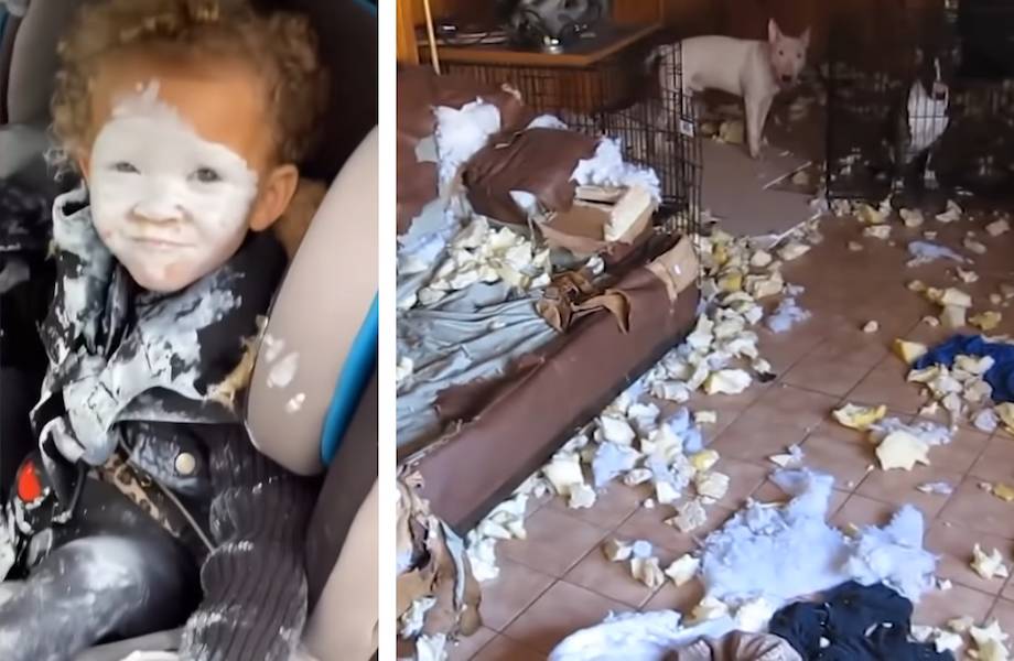 Видео: Люди, у которых выдался слишком плохой день