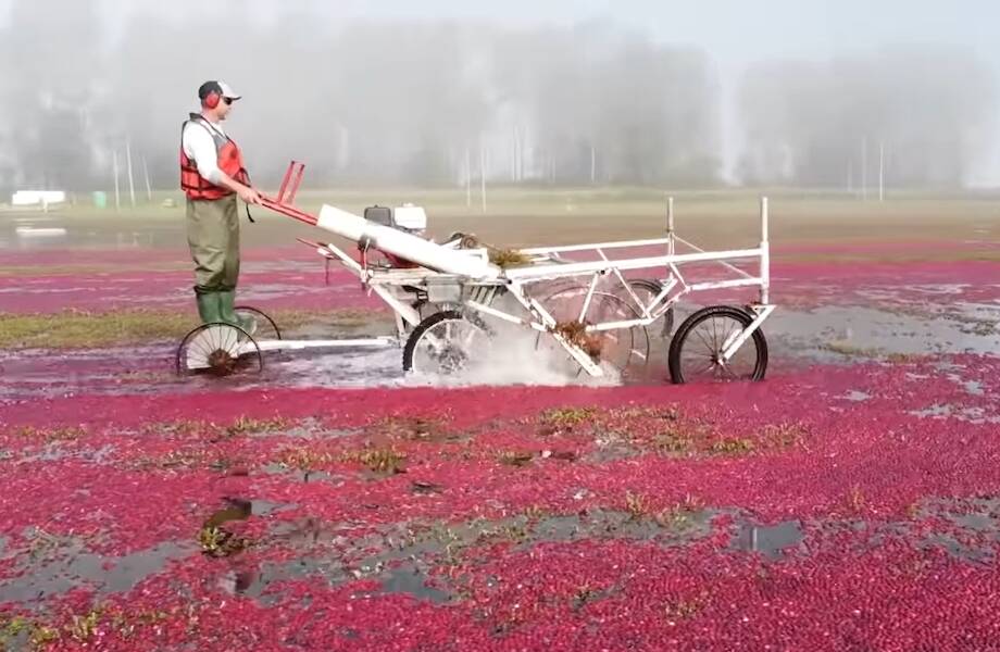 Видео: Интересные процессы производства, которые доказывают, что будущее уже наступило