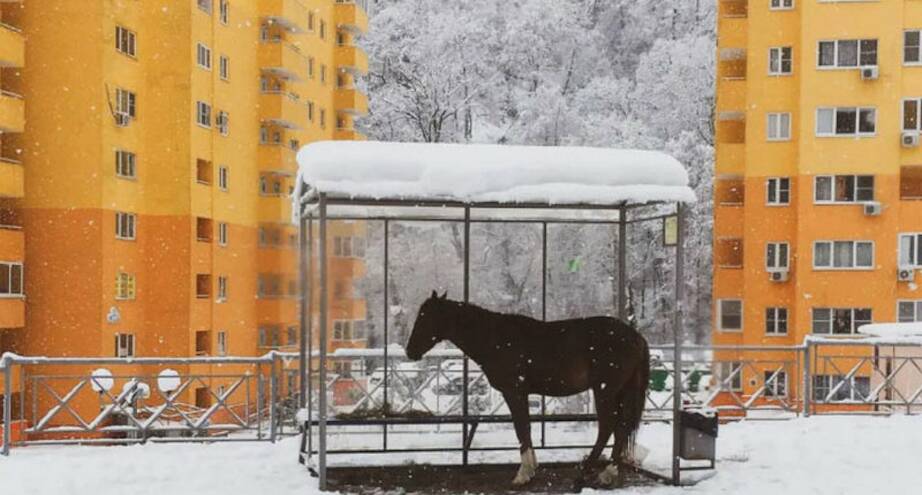 Фото дня: когда там придет автобус