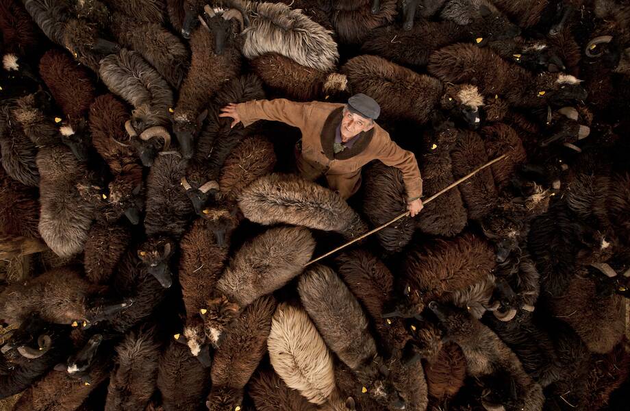 24 самых потрясающих фотографий по мнению журнала The Decisive Moments Magazine