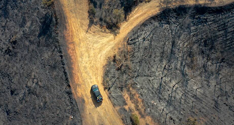 Фото дня: после пожаров в турецком Мармарисе