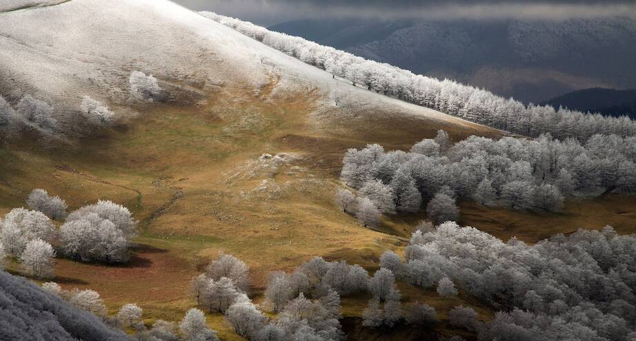 Фото дня: утренняя Наварра, Испания