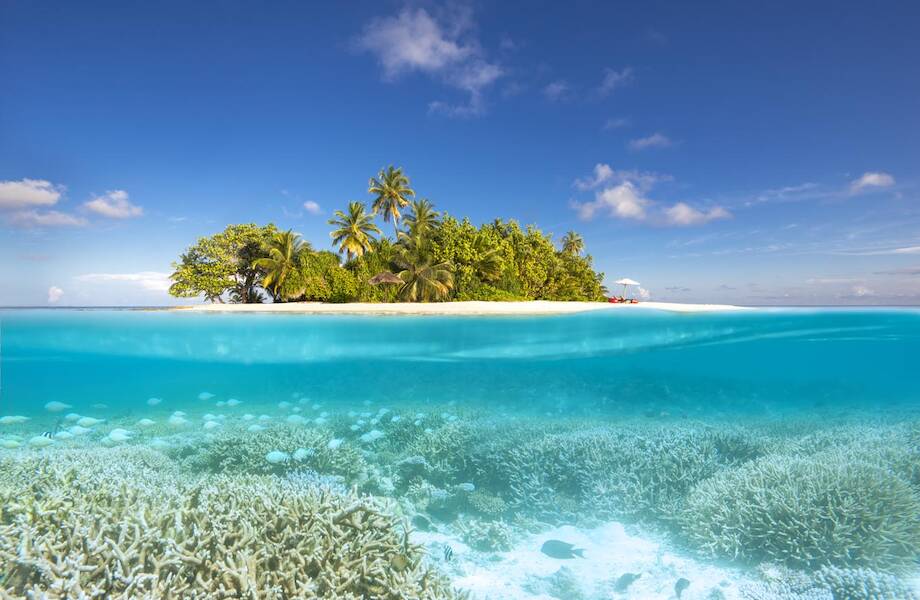 Зажигательные новогодние праздники в W Maldives