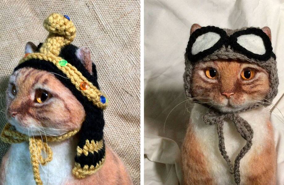 14 смешных шляп для кошек, которые вяжет одна рукодельница