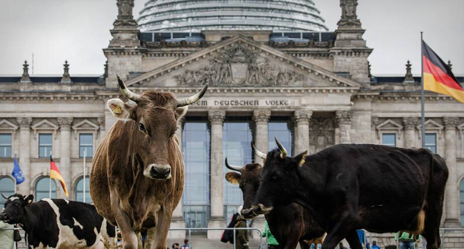 Фото дня: акция Greenpeace рядом с администрацией Берлина