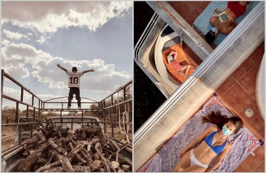 12 лучших снимков, сделанных на iPhone в этом году