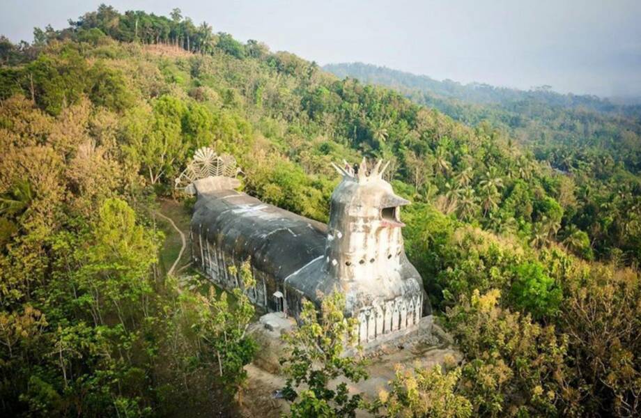 Почему в лесах Индонезии стоит гигантская курица Почему в лесах Индонезии стоит гигантская курица