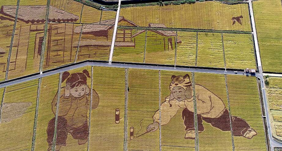 Фото дня: рисовые поля в Китае