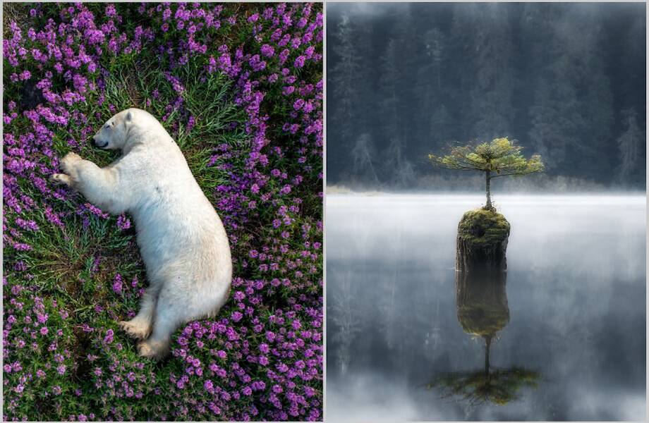 12 чудесных фотографий, которые показывают, что наша планета ― это чудо