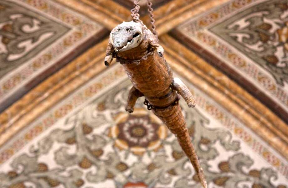 Видео: итальянская церковь, в которой висит чучело крокодила Видео: итальянская церковь, в которой висит чучело крокодила