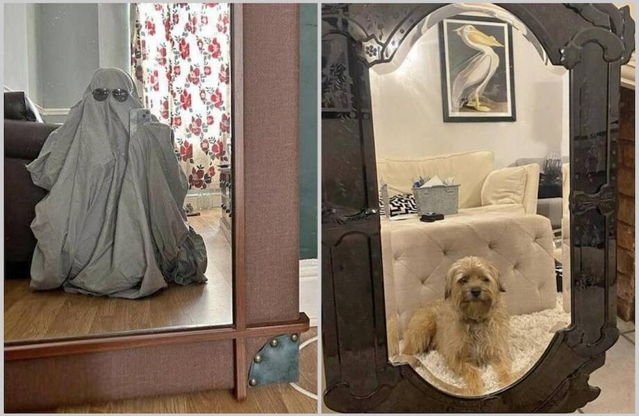 15 уморительных попыток продать зеркало