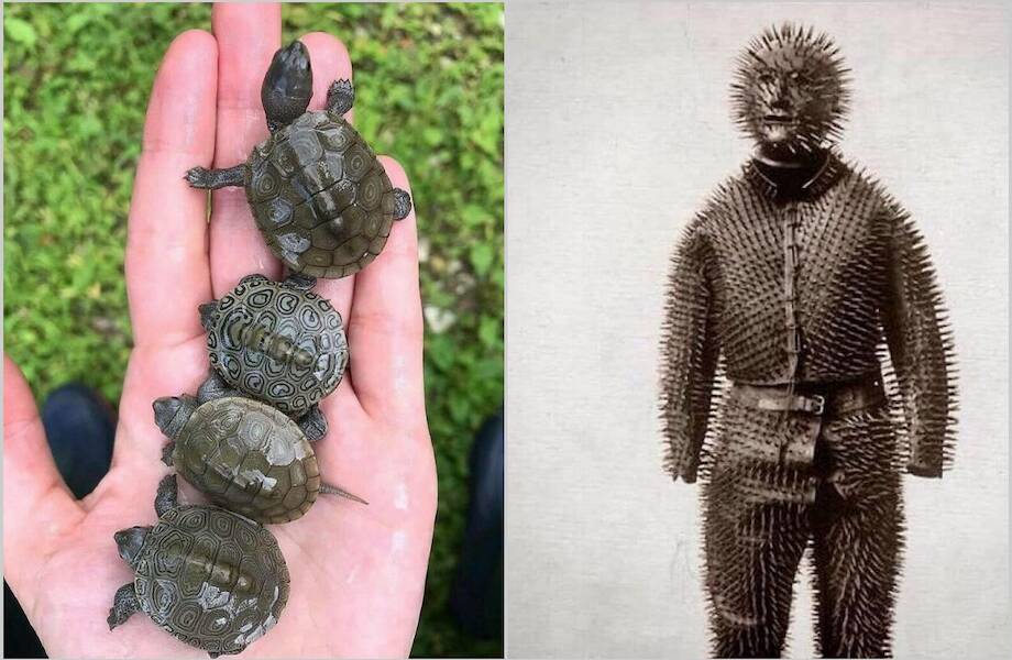 14 фотографий, которые расскажут интересные вещи о мире