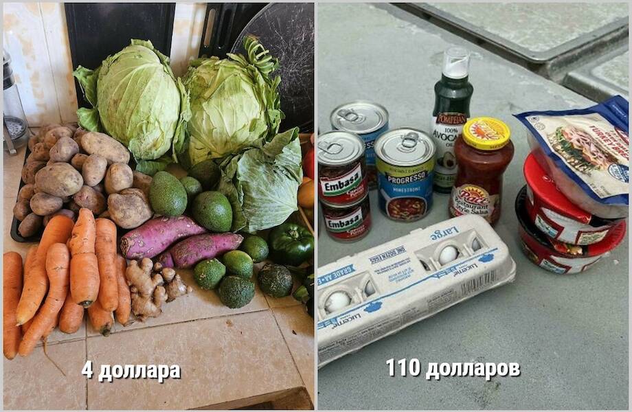  От Аляски до России: 14 человек показали, сколько стоят продукты там, где они живут
