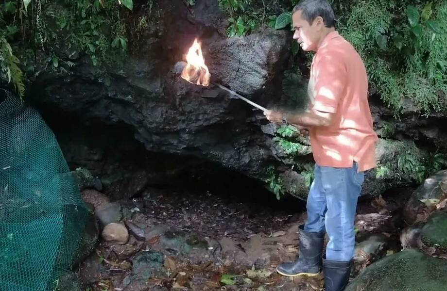 Видео: пещера смерти в Коста-Рике, рядом с которой всем становится плохо