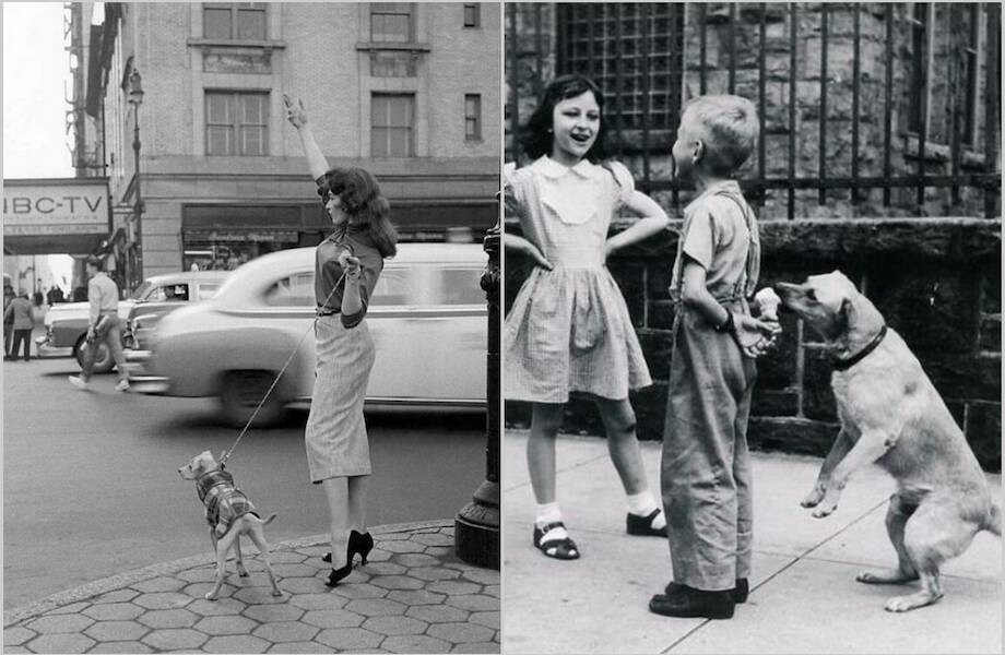 15 классных винтажных фото о том, что люди во все времена любили собак