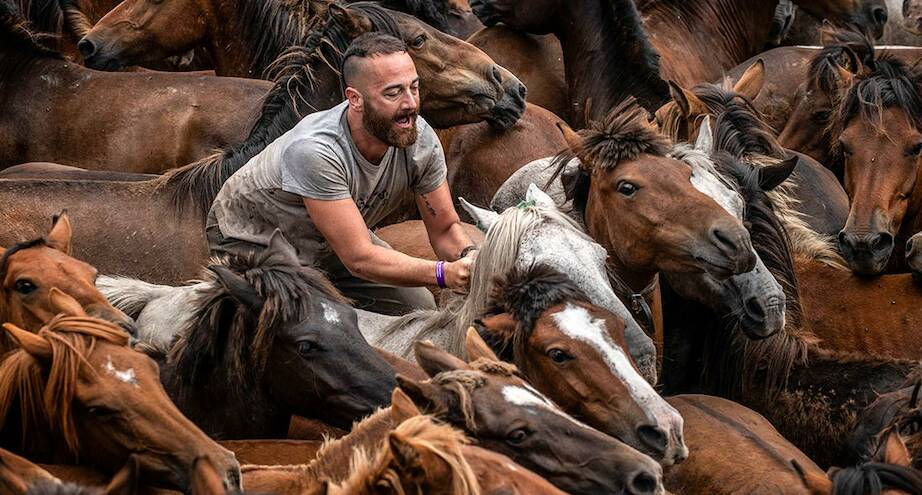 Фото дня: испанский фестиваль Рапа-дас-Бестас 