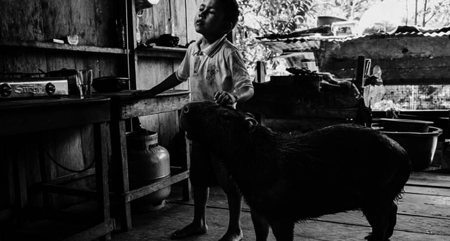 Фото дня: неожиданный гость