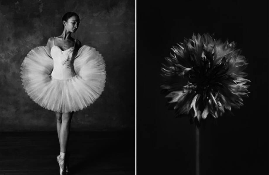 Фотограф сравнила балерин с цветами и показала все изящество танца