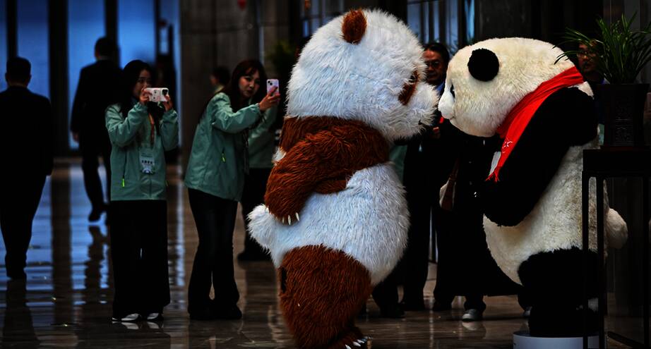 Фото дня: выставка Global Panda Partners в Китае