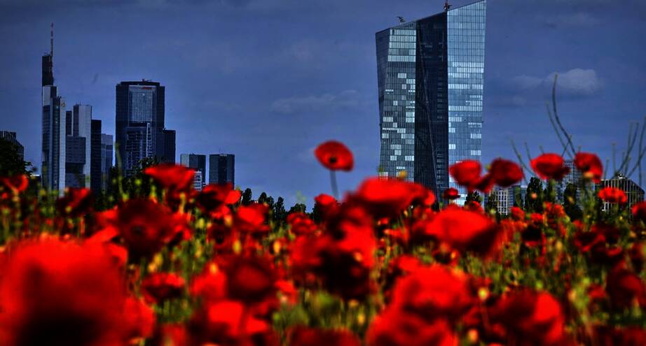 Фото дня: приближение лета во Франкфурте