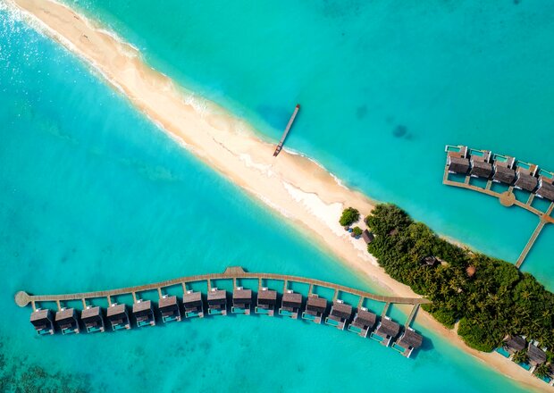 Песчаная коса и тропический лес: удивительная природа Kuramathi Maldives