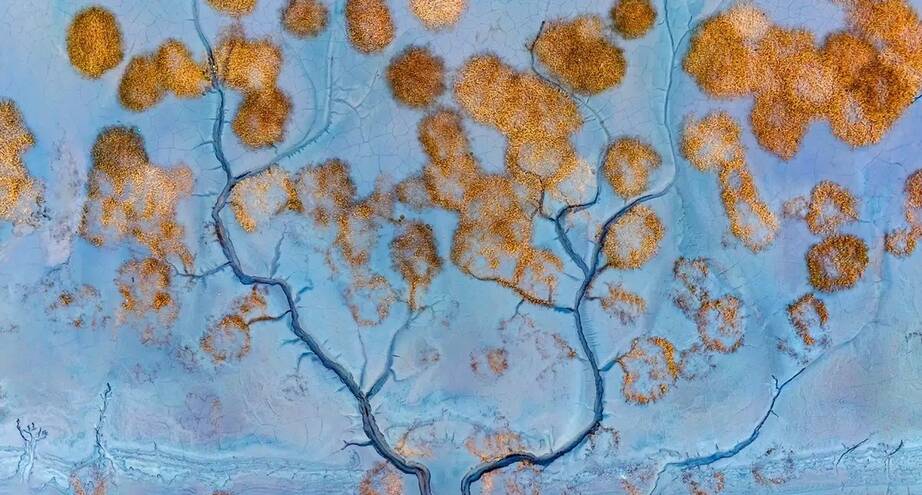 Фото дня: прилив на реке Цяньтан