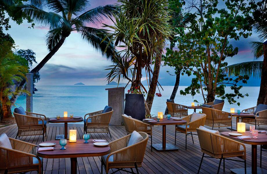 Новый год в манговой роще в Mango House