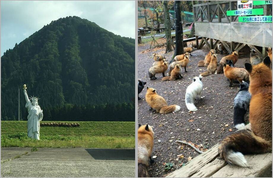 Деревня лис и другие факты о Японии, которые показывают, насколько эта страна необычна Деревня лис и другие факты о Японии, которые показывают, насколько эта страна необычна