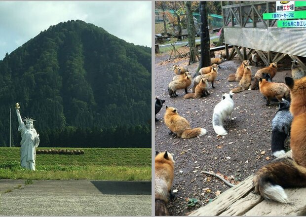 Деревня лис и другие факты о Японии, которые показывают, насколько эта страна необычна