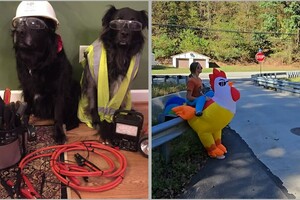 14 доказательств того, что быть родителем ― это весело