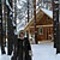 Алёна Шестакова