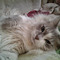 Aleksandr