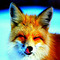 Foxy X