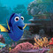 Dory